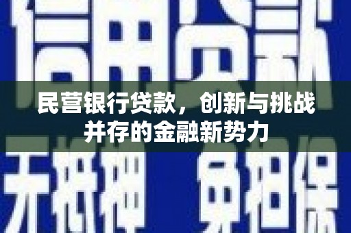 铁山民营银行贷款，创新与挑战并存的金融新势力