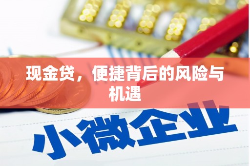 铁山现金贷，便捷背后的风险与机遇