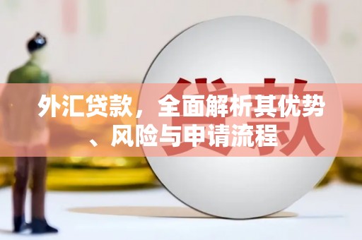 铁山外汇贷款，全面解析其优势、风险与申请流程