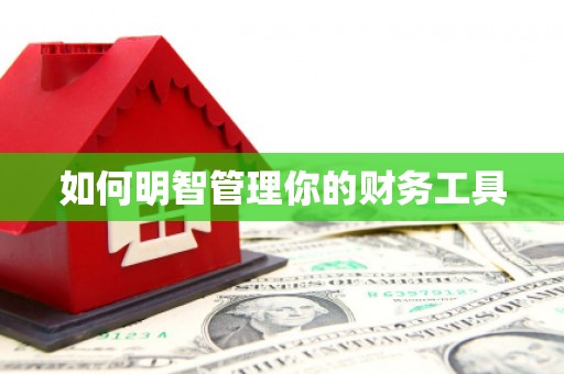 铁山如何明智管理你的财务工具