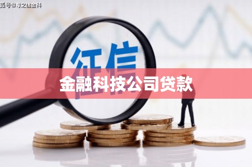 铁山金融科技公司贷款