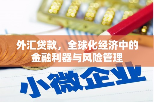 铁山外汇贷款，全球化经济中的金融利器与风险管理
