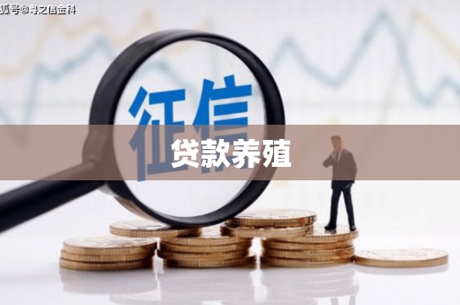 铁山贷款养殖