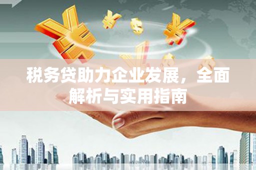 铁山税务贷助力企业发展，全面解析与实用指南