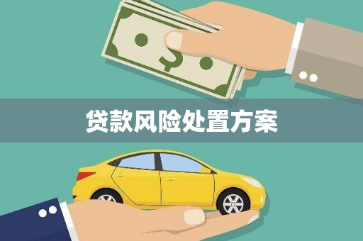 铁山贷款风险处置方案