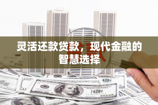 铁山灵活还款贷款，现代金融的智慧选择