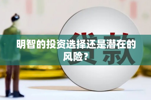 铁山明智的投资选择还是潜在的风险？