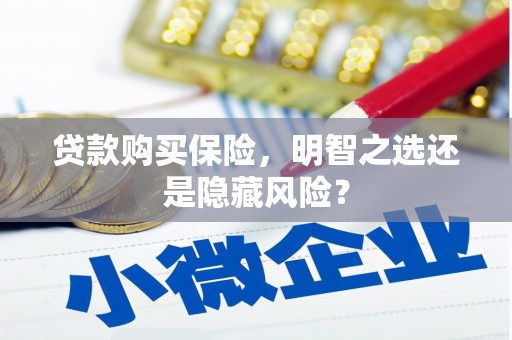 铁山贷款购买保险，明智之选还是隐藏风险？