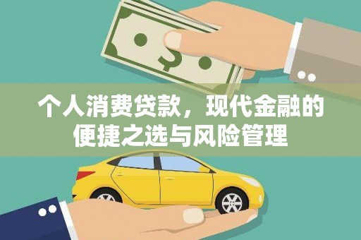 铁山个人消费贷款，现代金融的便捷之选与风险管理