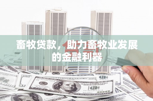 铁山畜牧贷款，助力畜牧业发展的金融利器