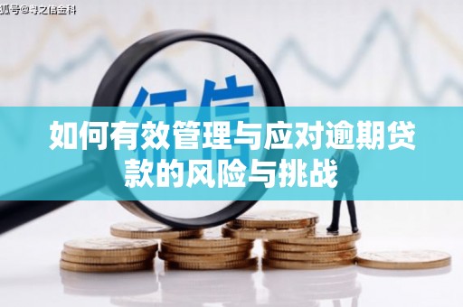 铁山如何有效管理与应对逾期贷款的风险与挑战
