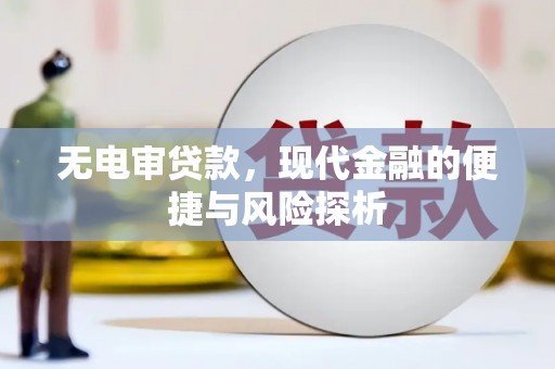 铁山无电审贷款，现代金融的便捷与风险探析