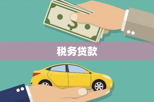 铁山税务贷款