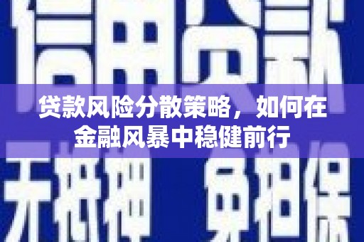 铁山贷款风险分散策略，如何在金融风暴中稳健前行