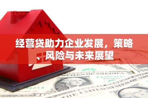 铁山经营贷助力企业发展，策略、风险与未来展望