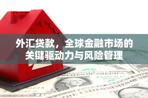 铁山外汇贷款，全球金融市场的关键驱动力与风险管理