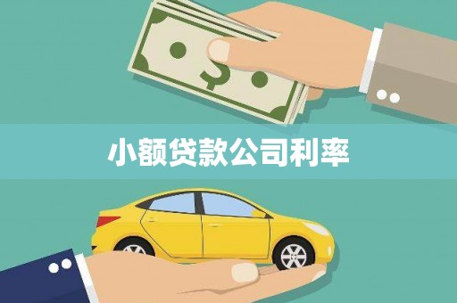 铁山小额贷款公司利率