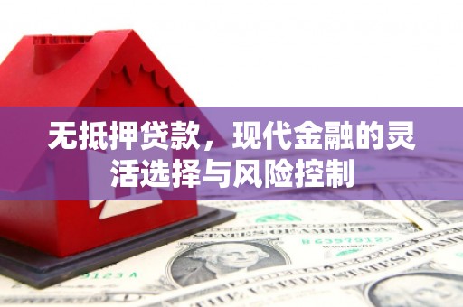 铁山无抵押贷款，现代金融的灵活选择与风险控制