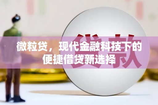 铁山微粒贷，现代金融科技下的便捷借贷新选择
