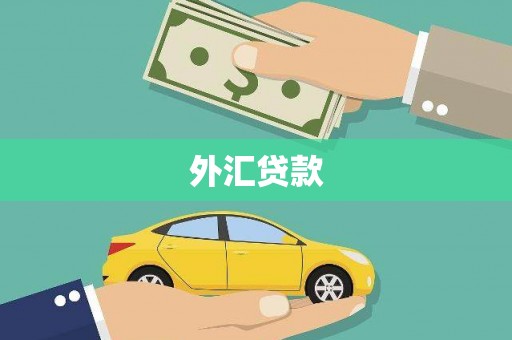 铁山外汇贷款