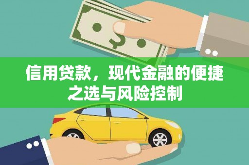 铁山信用贷款，现代金融的便捷之选与风险控制