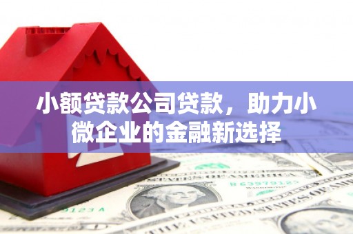铁山小额贷款公司贷款，助力小微企业的金融新选择