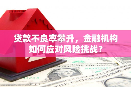 铁山贷款不良率攀升，金融机构如何应对风险挑战？