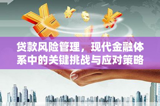 铁山贷款风险管理，现代金融体系中的关键挑战与应对策略