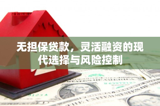 铁山无担保贷款，灵活融资的现代选择与风险控制