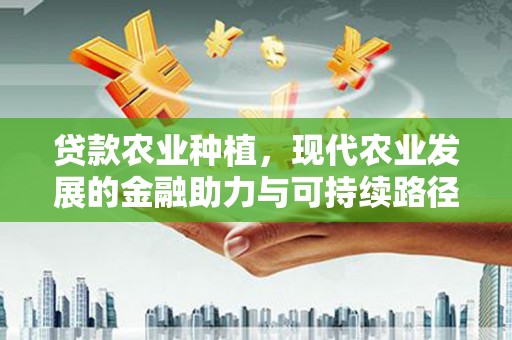 铁山贷款农业种植，现代农业发展的金融助力与可持续路径