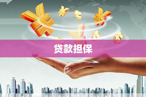 铁山贷款担保