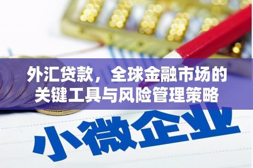 铁山外汇贷款，全球金融市场的关键工具与风险管理策略