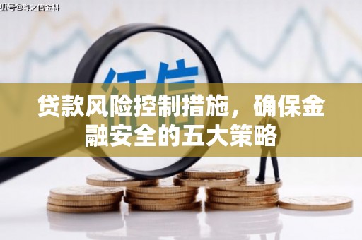 铁山贷款风险控制措施，确保金融安全的五大策略