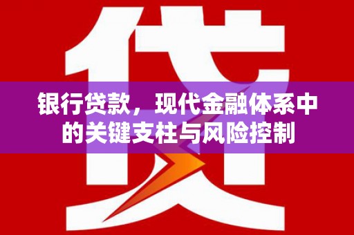 铁山银行贷款，现代金融体系中的关键支柱与风险控制