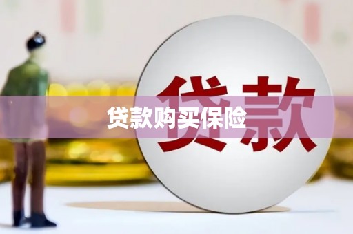 铁山贷款购买保险
