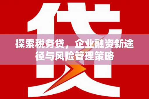 铁山探索税务贷，企业融资新途径与风险管理策略