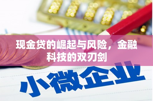 铁山现金贷的崛起与风险，金融科技的双刃剑