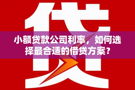 铁山小额贷款公司利率，如何选择最合适的借贷方案？
