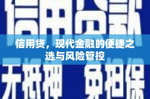 铁山信用贷，现代金融的便捷之选与风险管控