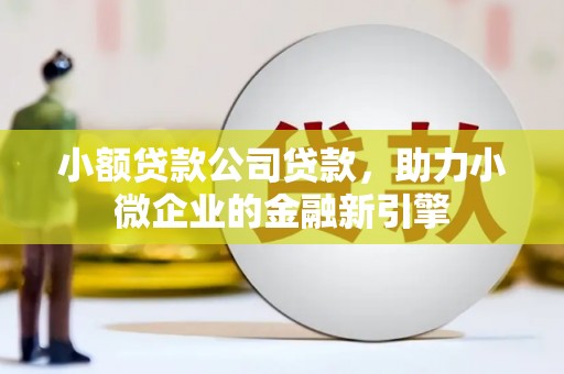 铁山小额贷款公司贷款，助力小微企业的金融新引擎