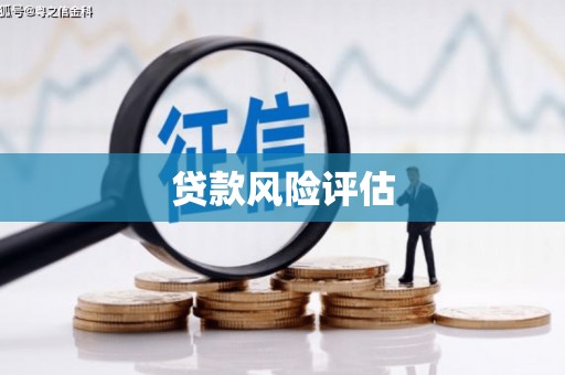 铁山贷款风险评估