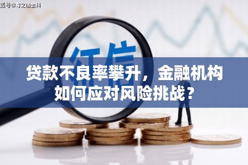铁山贷款不良率攀升，金融机构如何应对风险挑战？