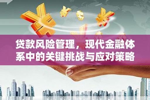 铁山贷款风险管理，现代金融体系中的关键挑战与应对策略