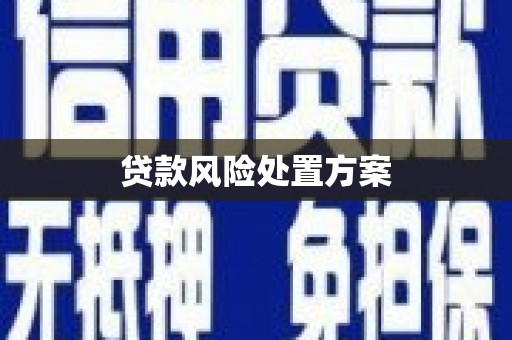 铁山贷款风险处置方案