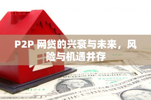 铁山P2P 网贷的兴衰与未来，风险与机遇并存