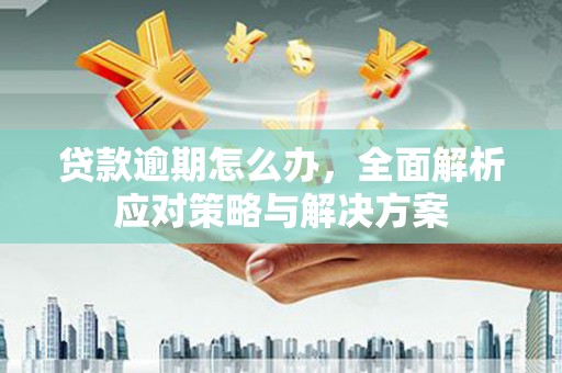 铁山贷款逾期怎么办，全面解析应对策略与解决方案