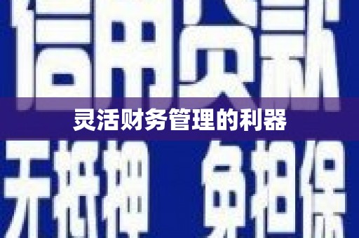 铁山灵活财务管理的利器
