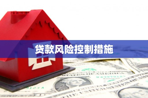 铁山贷款风险控制措施
