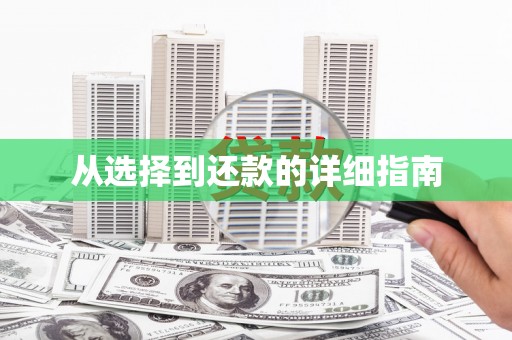 铁山从选择到还款的详细指南