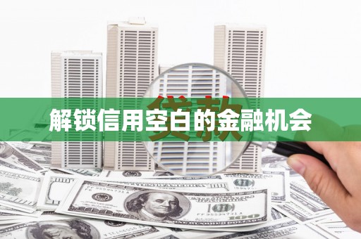 铁山解锁信用空白的金融机会